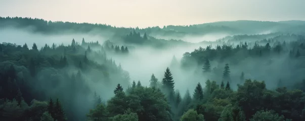 Photo sur Plexiglas Matin avec brouillard Misty landscape with fir forest landscape background, Generative AI