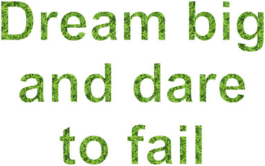 Fototapeta premium Dream big motivational quotes for success