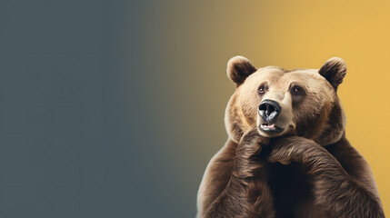 Portrait of a funny grizzly bear with a blank banner. Copy-space - obrazy, fototapety, plakaty