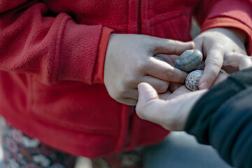 Boys and Girls Adventuring with Shells in the Forest