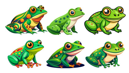 green frog. Vector illustration of cute frog cartoon isolated on white background