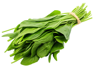 a bunch of spinach leaves
