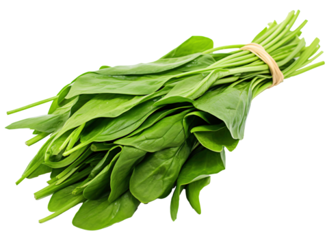 a bunch of spinach leaves