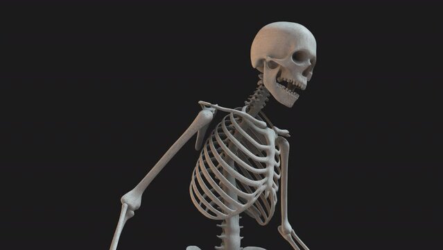 Skeleton Stood Looking 02