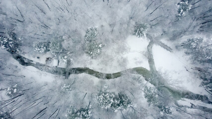 A river in the middle of a snow-covered forest on a winter cloudy day. Aerial view.