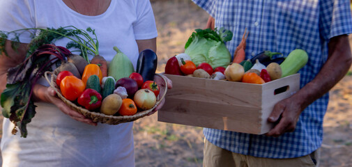 two farmers standing together with crates full of freshly picked vegetables on local farmland