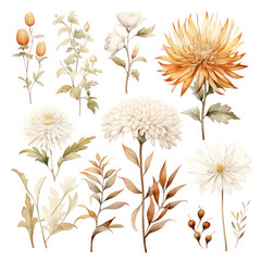 wild flowers background