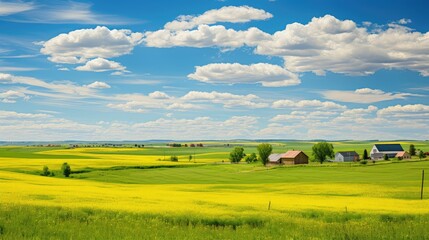 agriculture farm view