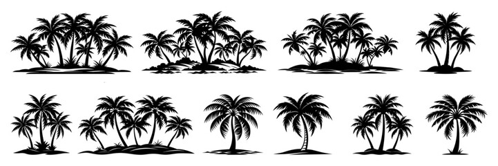 Palm tree silhouette set. Collection of tropical palm trees