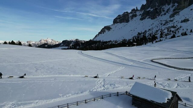sleddog seld dog on snow on dolomites aerial view val badia in winter season panorama landscape drone footage