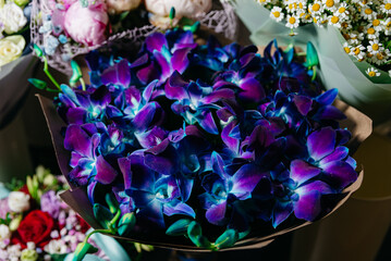 Vibrant Blue and Purple Orchid Bouquet. A stunning bouquet of blue and purple dyed orchids, a unique and exotic floral gift or decoration.