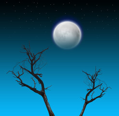 moon and dark trees on blue night view with stars