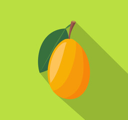 mango vector - flat design
