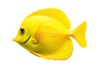 a yellow fish with a smiling face