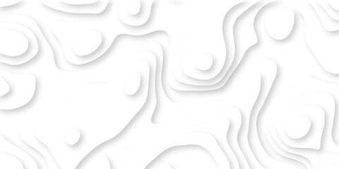 Abstract white paper cut background with lines. Background of the topographic map. White wave paper curved reliefs abstract background. Realistic papercut decoration textured with wavy layers.