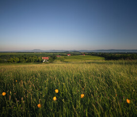 Nice summer landscape with a view on lake Balaton