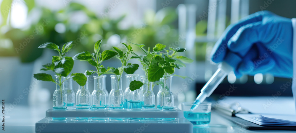 Poster plants in lab tube. science laboratory experiments analysis and genetic engineering study.