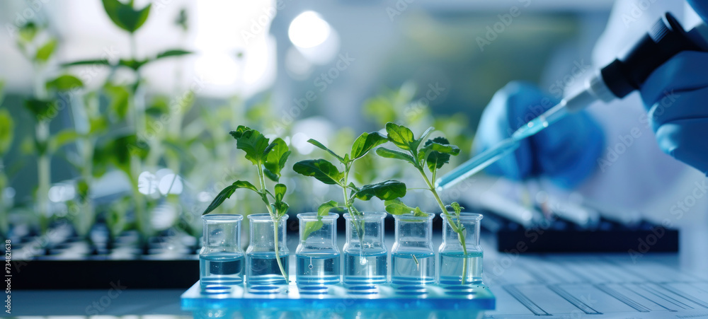 Poster plants in lab tube. science laboratory experiments analysis and genetic engineering study.