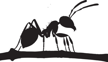 Silhouettes of ants.