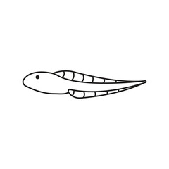 tadpole icon vector