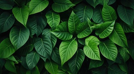 Opulent Leafy Green Seamless Texture