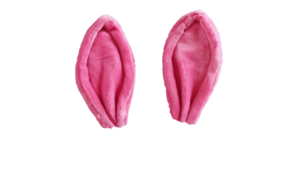 mix match pink bunny rabbit ears headband editable on head. isolated on transparent background.