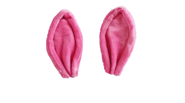 mix match pink bunny rabbit ears headband editable on head. isolated on transparent background.