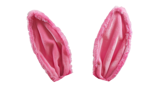 mix match pink bunny rabbit ears headband editable on head. isolated on transparent background.