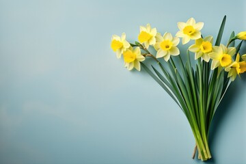 Bright Yellow Daffodils Against Blue