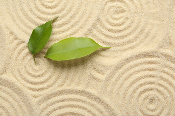 Zen rock garden. Circle patterns and green leaves on beige sand, top view