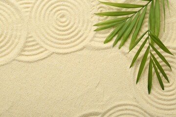 Zen rock garden. Circle patterns and green leaves on beige sand, top view