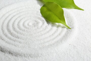Zen rock garden. Circle pattern and green leaves on white sand, closeup