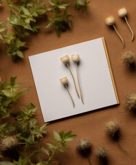 Nature-Inspired Elegance: Business Card Mockup PSD