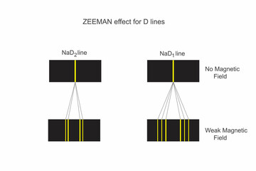 Zeeman effect. Splitting of spectral lines in a magnetic field, revealing magnetic properties of...