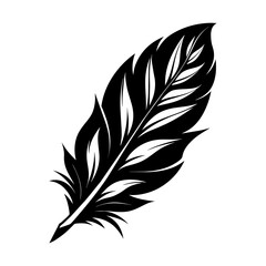 Feather silhouette. Vector black feather