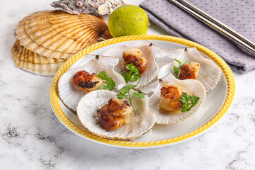 Grilled scallops shell with butter