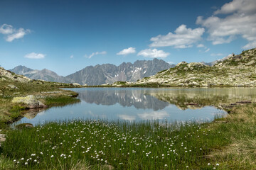 Fototapeta na wymiar Lacs de Sebeyras en été , vue sur Pic Tirbat , massif des Ecrins , Hautes-Alpes , France