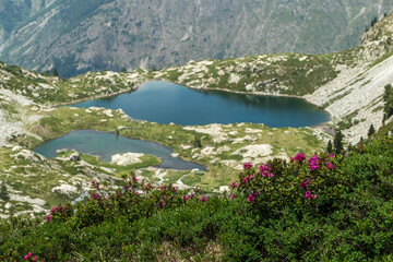 Lacs de Pétarel en été , Massif des Ecrins , Hautes Alpes , France