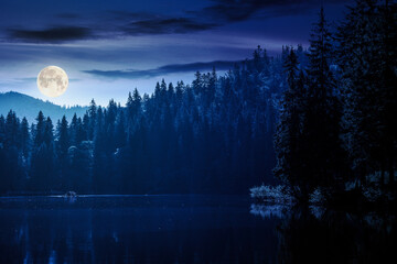 composite night scene of lake among forest. beautiful landscape of carpathian national park synevyr in full moon light - obrazy, fototapety, plakaty
