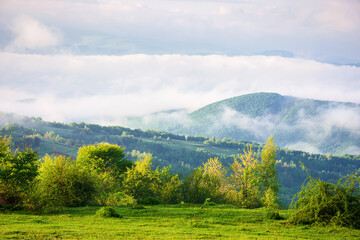 carpathian countryside on a foggy morning. mountainous scenery with grassy meadows and misty valley in spring. clouds above the mountains