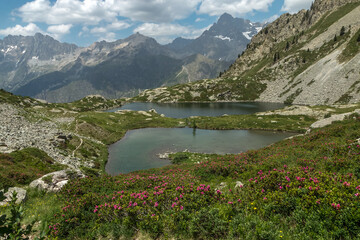 Lacs de Pétarel en été , Massif des Ecrins , Hautes Alpes , France