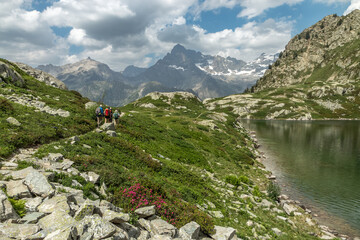 Randonnée aux Lacs de Pétarel en été , Massif des Ecrins , Hautes Alpes , France