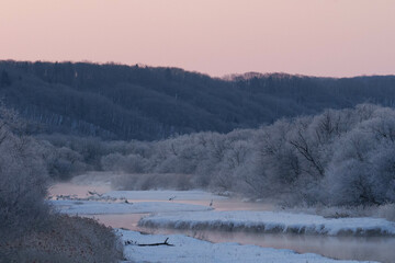 樹氷とタンチョウ