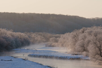 樹氷とタンチョウ