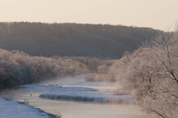 樹氷とタンチョウ