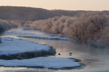 樹氷とタンチョウ