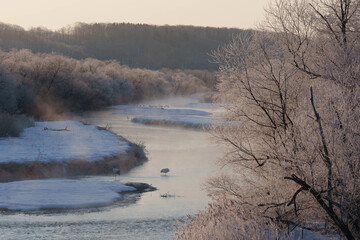 樹氷とタンチョウ