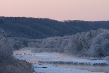 樹氷とタンチョウ