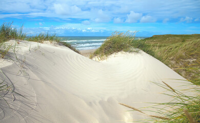 Beautiful danish coastline at summer