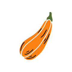 Pumpkin. Thanksgiving and Halloween Elements. Hand drawn vector illustration.